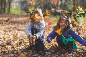 Børn leger i blade i skov